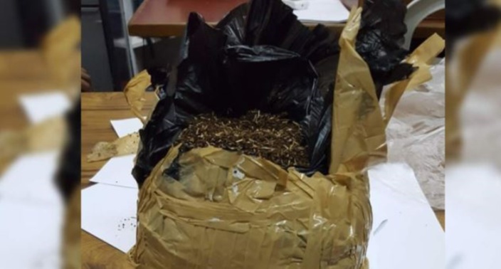 Wooton : Rs 600 000 de drogue synthétique retrouvé sur un terrain en friche - ChannelNews